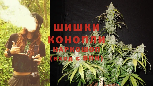 бошки Арсеньев