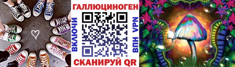 Псилоцибиновые грибы GOLDEN TEACHER Туринск