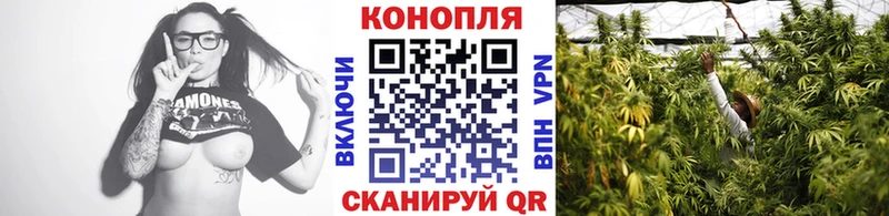 Шишки марихуана VHQ Туринск